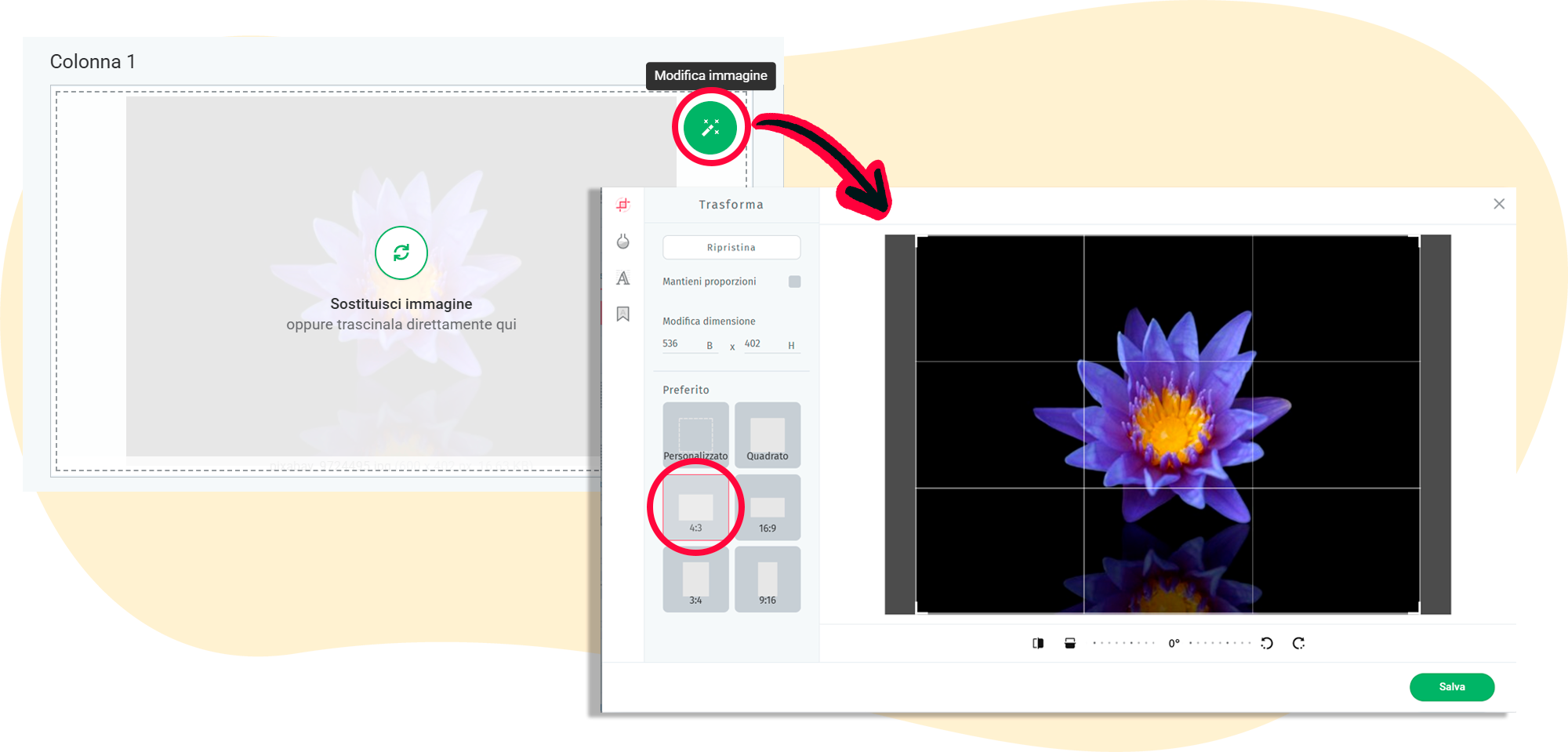 Apri l'editor di immagini per regolare le dimensioni e il formato dell'immagine